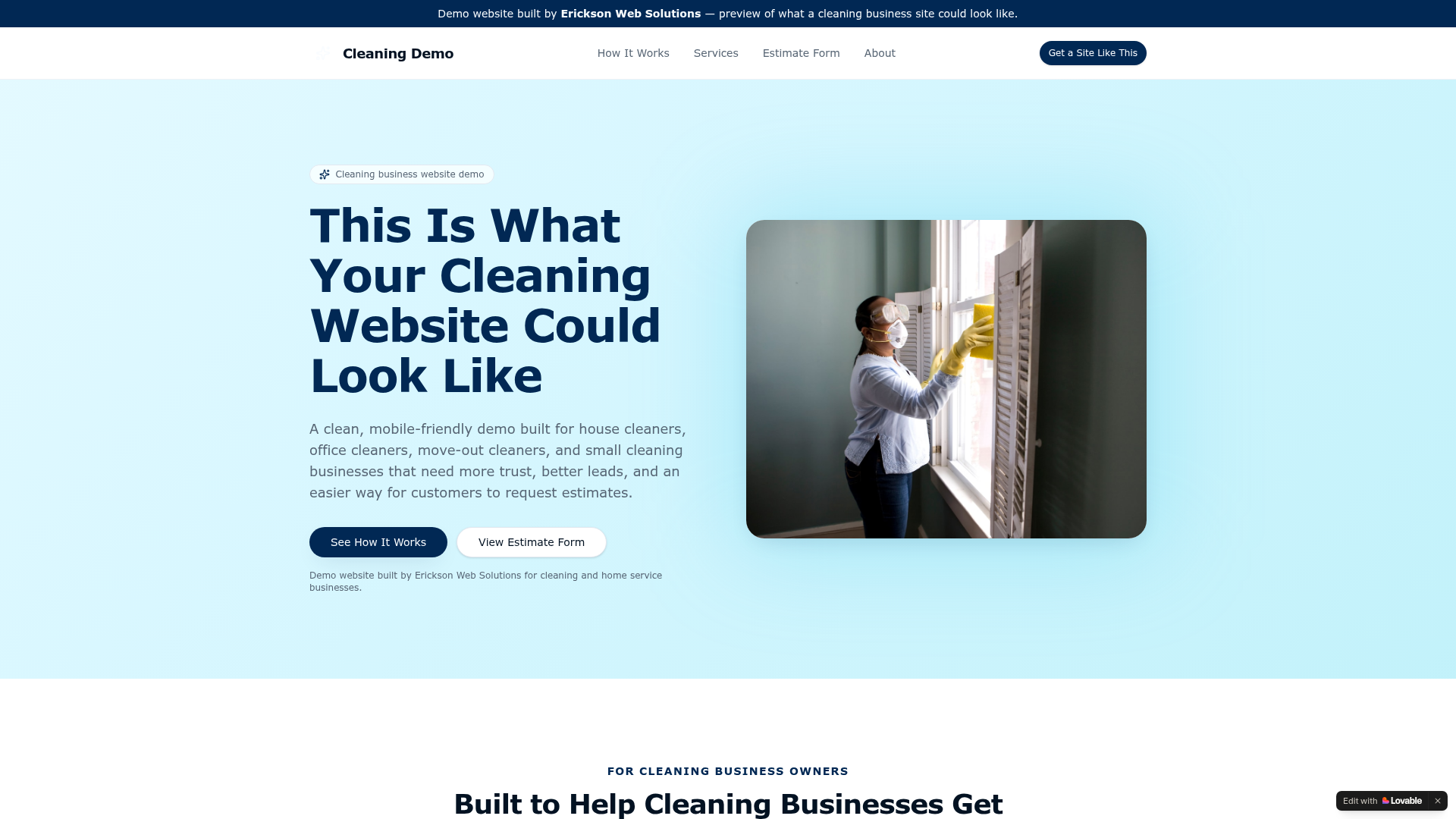 Cleaning Company Website preview